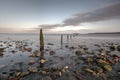 Pilmore Groynes at sunset