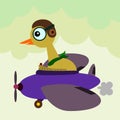 Pilot bird