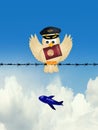 Pilot bird with passport on wire