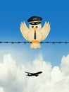 Pilot bird on wire