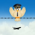 Pilot bird on wire