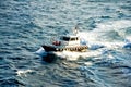 Pilot boat Royalty Free Stock Photo