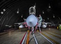 Pilot checking his F15 fighter jet Royalty Free Stock Photo