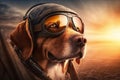 pilot dog in flight jacket and sunglasses, with view of the runway