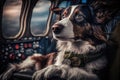 pilot dog lying on pilot& x27;s lap, watching flight instruments and cockpit