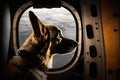 pilot dog sitting on cargo plane, looking out the window Royalty Free Stock Photo
