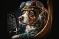 pilot dog sitting in cockpit, checking flight instruments