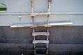 Pilot ladder