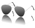 Pilot sunglasses