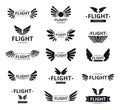 Pilot wing logo. Military army shield. Eagle patch. Flight emblem. Bird insignia. Retro crest corporate label. Aviation Royalty Free Stock Photo