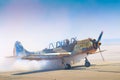 Pilot of Yak 52 airplane from the team Iacarii Acrobati salutes the crowd