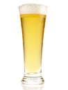 Pils Beer on white Background Royalty Free Stock Photo