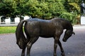 Pilsen, Czech Republic, 1.09.2019 - Modern bronze horse statue on boulevard