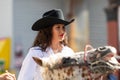 Pilsen Mexican Independence Day Parade 2018