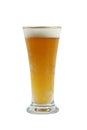 Pilsner glass of beer Royalty Free Stock Photo