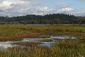 Ridgefield National Wildlife Refuge, Washington Royalty Free Stock Photo