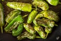 Pimientos de PadrÃ³n. Preparing Green Padron Peppers in the Frying Pan.