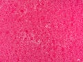 Pimk sponge texture background Royalty Free Stock Photo