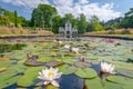 Pin Mill and water lilies, Bodnant garden, Wales