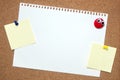 Pin paper on cork board Royalty Free Stock Photo