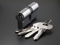 Pin tumbler of cylinder lock internal mechanism and set of keys Royalty Free Stock Photo