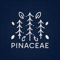 Pinaceae tree outdoor logo with elegant monoline style Royalty Free Stock Photo