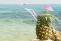 Pinacolada. Cocktail. Royalty Free Stock Photo