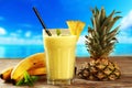 Pinacolada Royalty Free Stock Photo
