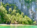 Pinagbuyutan Island Seashore View Royalty Free Stock Photo