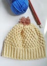 Pinaple hat Royalty Free Stock Photo