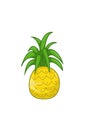 Pinapple