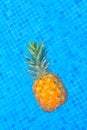 Pinapple near pool