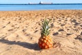 pinapple ob a beach Royalty Free Stock Photo