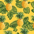 Pinapples and Tropical Leaves Background