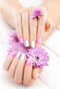 Pinc manicure with chrysanthemum flowers. spa Royalty Free Stock Photo