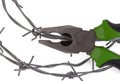 Pincers, pliers bite barbed wire. Amnesty concept, migration crisis, jailbreak. White isolated background