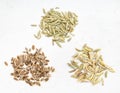 Pinches of anise, dill and fennel seeds on gray Royalty Free Stock Photo