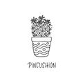 Pincushion cactus in decorative pot in doodle style with a handwritten title