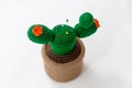 pincushion in the shape of a cactus in a pot Royalty Free Stock Photo