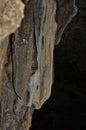 Pindul Cave, nature stalactite Royalty Free Stock Photo
