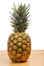 Pine-apple Royalty Free Stock Photo