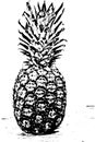 Pine-apple Sketch vector Royalty Free Stock Photo