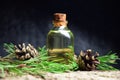 Pine aroma oil bio organic Royalty Free Stock Photo