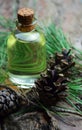 Pine aroma oil bio organic Royalty Free Stock Photo