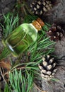 Pine aroma oil bio organic Royalty Free Stock Photo