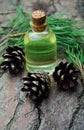 Pine aroma oil bio organic Royalty Free Stock Photo