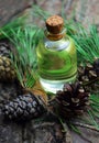 Pine aroma oil bio organic Royalty Free Stock Photo