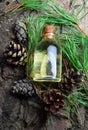 Pine aroma oil bio organic Royalty Free Stock Photo