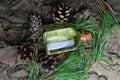 Pine aroma oil bio organic Royalty Free Stock Photo