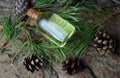 Pine aroma oil bio organic Royalty Free Stock Photo